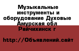 Музыкальные инструменты и оборудование Духовые. Амурская обл.,Райчихинск г.